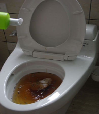 Những vấn đề thường gặp trong nhà vệ sinh và bồn cầu inax giá bao nhiêu